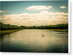 Load image into Gallery viewer, Hampton Court Long Lake's Swans - Canvas Print
