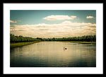 Load image into Gallery viewer, Hampton Court Long Lake's Swans - Framed Print
