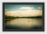 Load image into Gallery viewer, Hampton Court Long Lake's Swans - Framed Print
