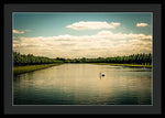 Load image into Gallery viewer, Hampton Court Long Lake's Swans - Framed Print
