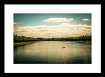 Load image into Gallery viewer, Hampton Court Long Lake's Swans - Framed Print
