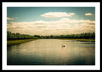 Load image into Gallery viewer, Hampton Court Long Lake's Swans - Framed Print
