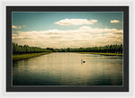 Load image into Gallery viewer, Hampton Court Long Lake's Swans - Framed Print
