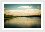 Load image into Gallery viewer, Hampton Court Long Lake's Swans - Framed Print
