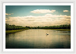 Load image into Gallery viewer, Hampton Court Long Lake's Swans - Framed Print
