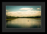 Load image into Gallery viewer, Hampton Court Long Lake's Swans - Framed Print
