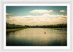 Load image into Gallery viewer, Hampton Court Long Lake's Swans - Framed Print
