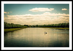 Load image into Gallery viewer, Hampton Court Long Lake's Swans - Framed Print

