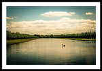 Load image into Gallery viewer, Hampton Court Long Lake's Swans - Framed Print
