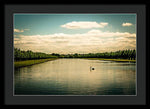 Load image into Gallery viewer, Hampton Court Long Lake's Swans - Framed Print

