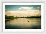 Load image into Gallery viewer, Hampton Court Long Lake's Swans - Framed Print
