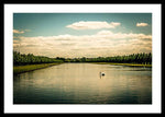Load image into Gallery viewer, Hampton Court Long Lake's Swans - Framed Print

