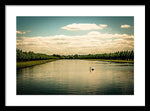 Load image into Gallery viewer, Hampton Court Long Lake's Swans - Framed Print
