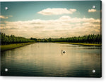 Load image into Gallery viewer, Hampton Court Long Lake's Swans - Acrylic Print
