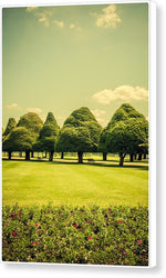 Load image into Gallery viewer, Hampton Court Palace Gardens Summer Colours - Canvas Print
