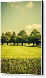 Load image into Gallery viewer, Hampton Court Palace Gardens Summer Colours - Canvas Print
