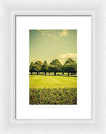 Load image into Gallery viewer, Hampton Court Palace Gardens Summer Colours - Framed Print
