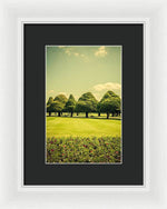 Load image into Gallery viewer, Hampton Court Palace Gardens Summer Colours - Framed Print
