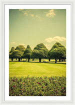 Load image into Gallery viewer, Hampton Court Palace Gardens Summer Colours - Framed Print
