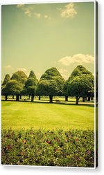 Load image into Gallery viewer, Hampton Court Palace Gardens Summer Colours - Acrylic Print
