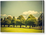 Load image into Gallery viewer, Hampton Court Palace Gardens Triangular Trees - Canvas Print
