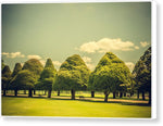 Load image into Gallery viewer, Hampton Court Palace Gardens Triangular Trees - Canvas Print
