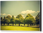Load image into Gallery viewer, Hampton Court Palace Gardens Triangular Trees - Canvas Print
