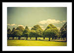 Load image into Gallery viewer, Hampton Court Palace Gardens Triangular Trees - Framed Print
