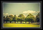 Load image into Gallery viewer, Hampton Court Palace Gardens Triangular Trees - Framed Print
