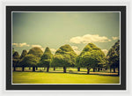 Load image into Gallery viewer, Hampton Court Palace Gardens Triangular Trees - Framed Print
