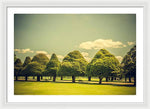 Load image into Gallery viewer, Hampton Court Palace Gardens Triangular Trees - Framed Print
