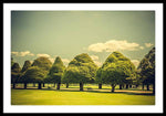 Load image into Gallery viewer, Hampton Court Palace Gardens Triangular Trees - Framed Print
