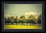 Load image into Gallery viewer, Hampton Court Palace Gardens Triangular Trees - Framed Print
