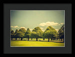 Load image into Gallery viewer, Hampton Court Palace Gardens Triangular Trees - Framed Print
