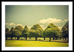 Load image into Gallery viewer, Hampton Court Palace Gardens Triangular Trees - Framed Print
