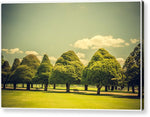 Load image into Gallery viewer, Hampton Court Palace Gardens Triangular Trees - Acrylic Print
