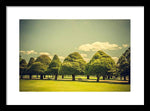 Load image into Gallery viewer, Hampton Court Palace Gardens Triangular Trees - Framed Print
