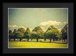 Load image into Gallery viewer, Hampton Court Palace Gardens Triangular Trees - Framed Print
