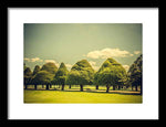 Load image into Gallery viewer, Hampton Court Palace Gardens Triangular Trees - Framed Print
