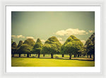 Load image into Gallery viewer, Hampton Court Palace Gardens Triangular Trees - Framed Print

