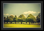 Load image into Gallery viewer, Hampton Court Palace Gardens Triangular Trees - Framed Print
