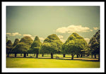 Load image into Gallery viewer, Hampton Court Palace Gardens Triangular Trees - Framed Print
