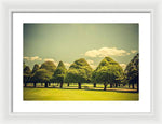 Load image into Gallery viewer, Hampton Court Palace Gardens Triangular Trees - Framed Print
