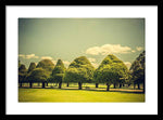 Load image into Gallery viewer, Hampton Court Palace Gardens Triangular Trees - Framed Print
