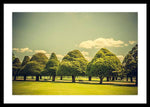 Load image into Gallery viewer, Hampton Court Palace Gardens Triangular Trees - Framed Print
