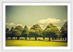 Load image into Gallery viewer, Hampton Court Palace Gardens Triangular Trees - Framed Print
