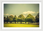 Load image into Gallery viewer, Hampton Court Palace Gardens Triangular Trees - Framed Print
