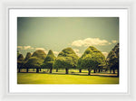 Load image into Gallery viewer, Hampton Court Palace Gardens Triangular Trees - Framed Print
