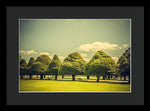Load image into Gallery viewer, Hampton Court Palace Gardens Triangular Trees - Framed Print
