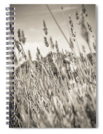 Load image into Gallery viewer, Lavender Field at Ham House - Spiral Notebook
